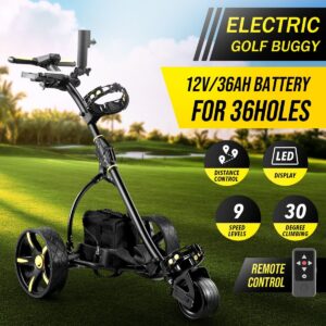 Golf remote control cart