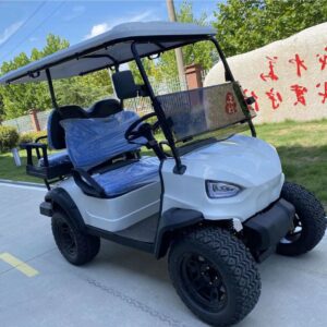 Push carts gx golfer