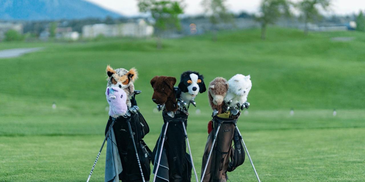 Fun golf head covers