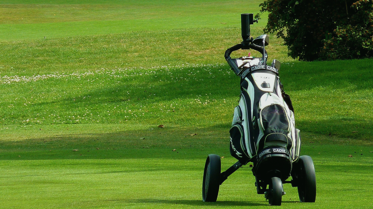 Electric golf walking carts