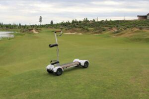 Electric golf walking carts