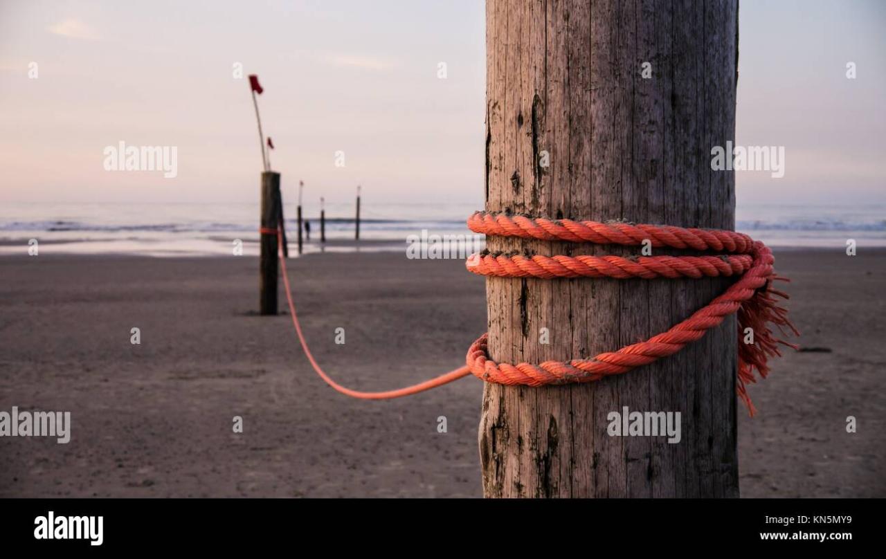 Rope and stakes